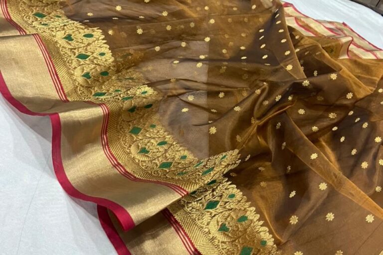 Chanderi Saree (Madhya Pradesh)