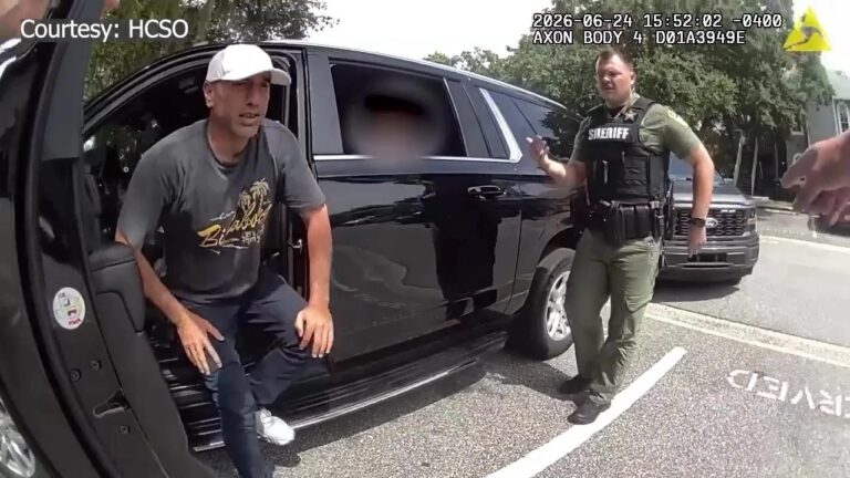 Fake Cop Pulls Over Undercover Hillsborough County Deputy