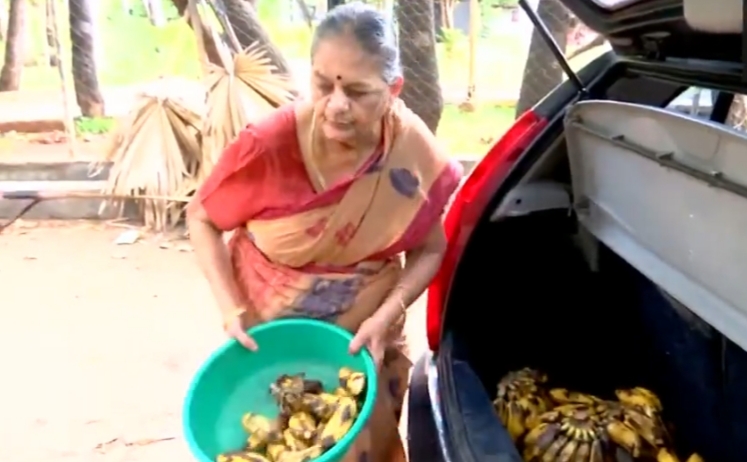 Indian Woman, 76, Spends Pension Feeding Hundreds of Monkeys for Over a Decade